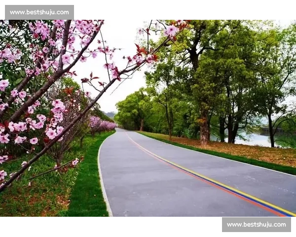 下一站WRC将在哪里探秘全球最美赛道!