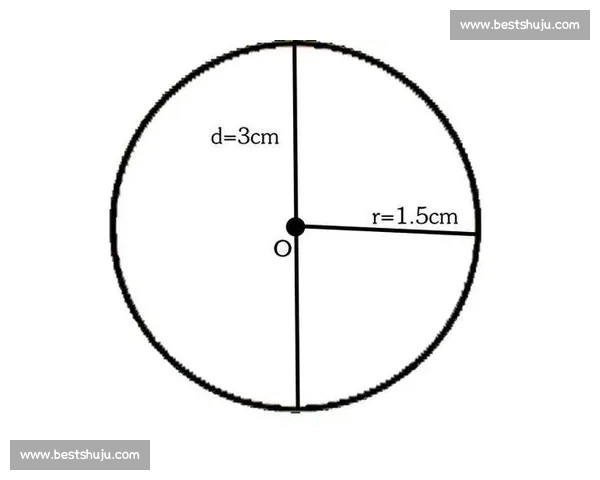 深入解析快乐8背后的概率奥秘揭示玩家如何提升中奖机会与理性投注技巧
