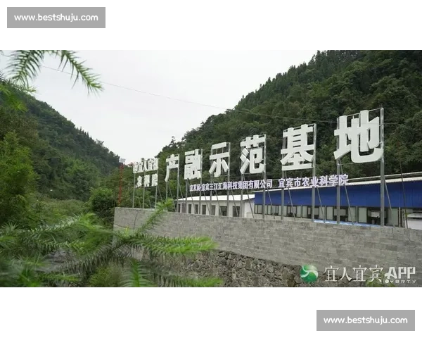 筠连县绿色生态产业融合发展助推乡村振兴与区域经济高质量提升路径研究